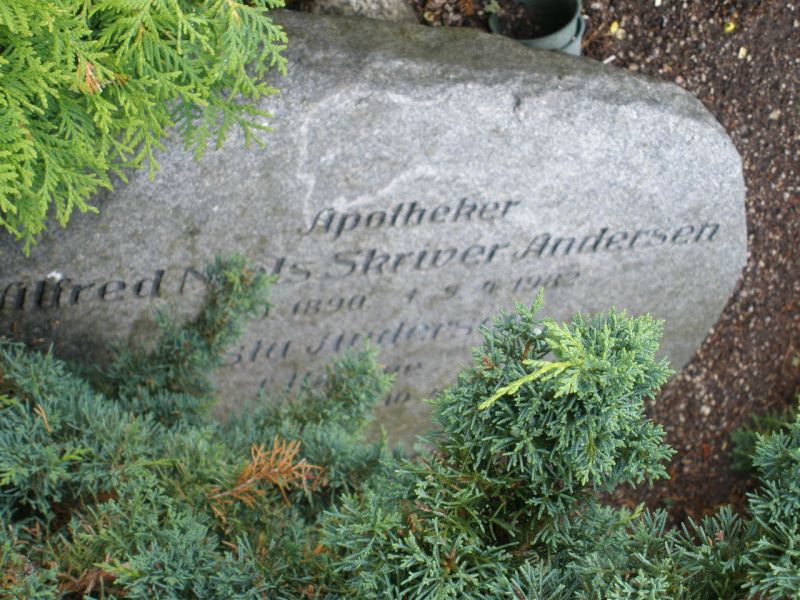 Vilfred Niels Skriver Andersen.JPG